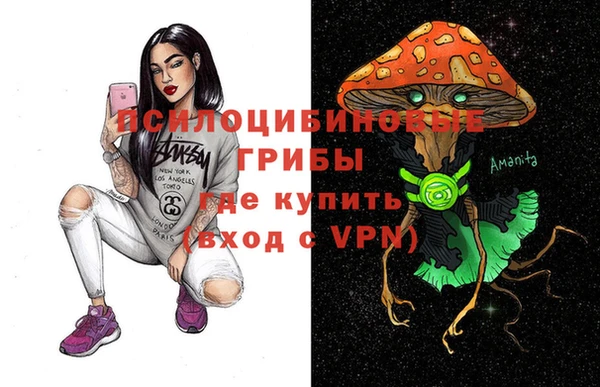 a pvp Алзамай