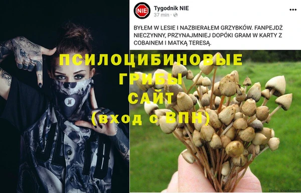 a pvp Алзамай