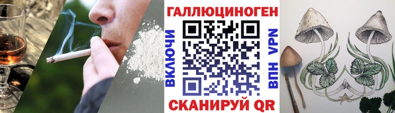 купить наркотик  Катав-Ивановск  ОМГ ОМГ ССЫЛКА  Галлюциногенные грибы мицелий 
